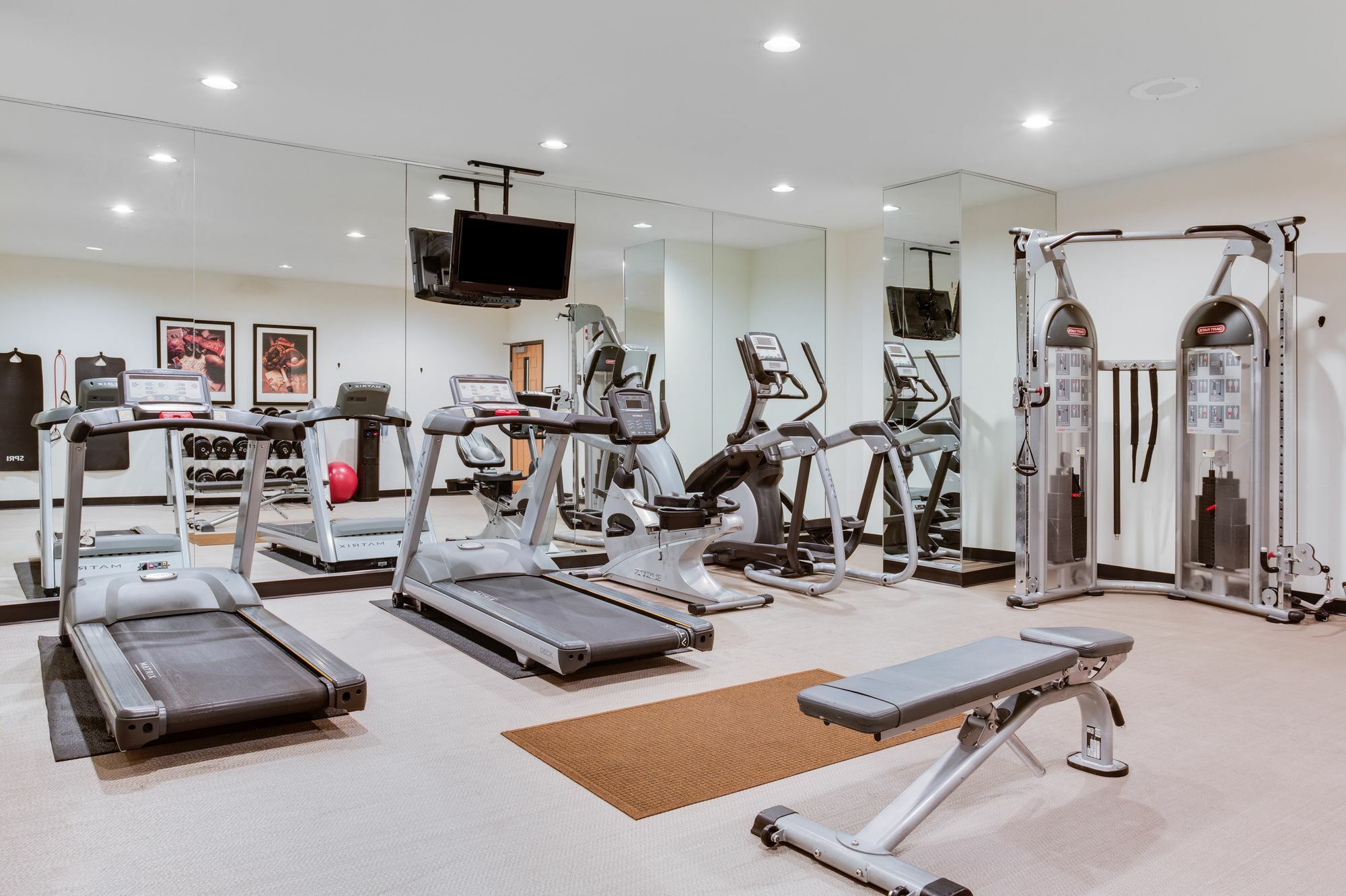 Staybridge Suites Tampa East- Brandon By Ihg Mango Екстериор снимка