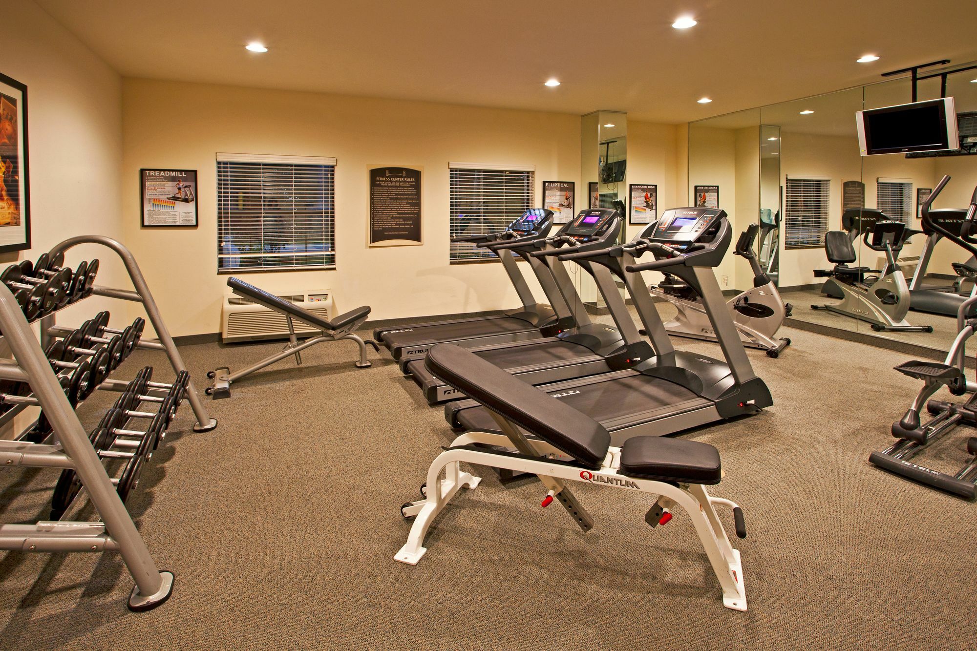 Staybridge Suites Tampa East- Brandon By Ihg Mango Екстериор снимка